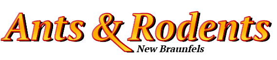 New Braunfels Ant Exterminator & Rodent Control Company Logo